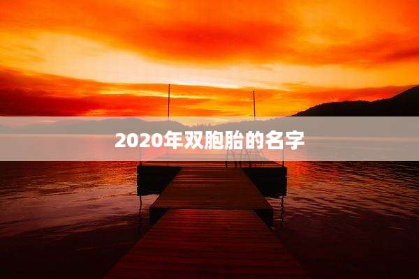 2020年双胞胎的名字