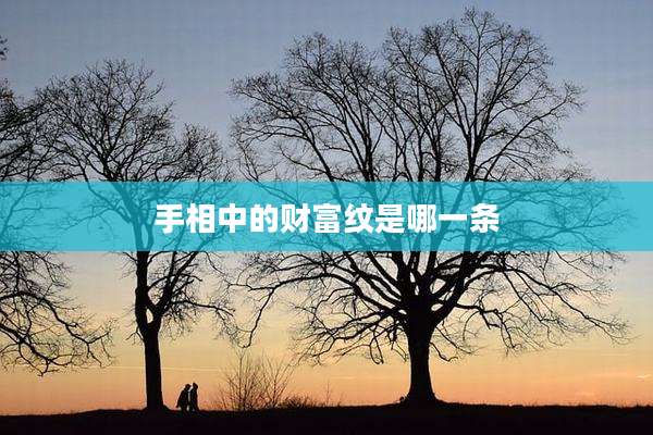 手相中的财富纹是哪一条