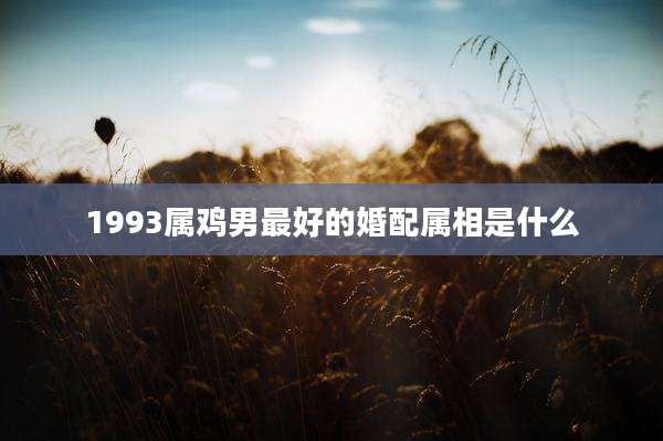 1993属鸡男最好的婚配属相是什么