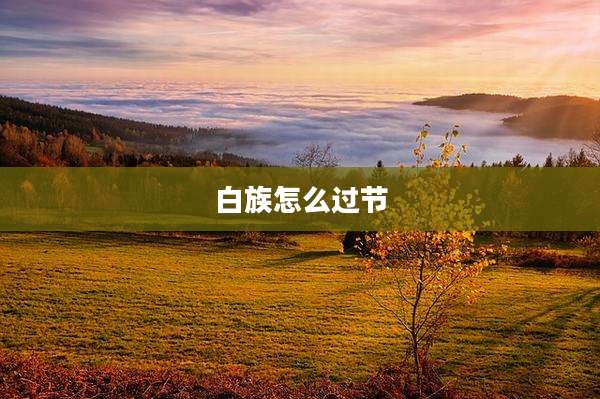 白族怎么过节