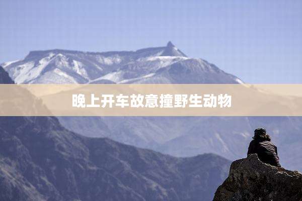 晚上开车故意撞野生动物