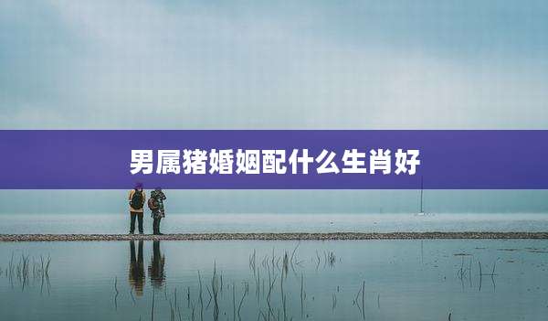 男属猪婚姻配什么生肖好