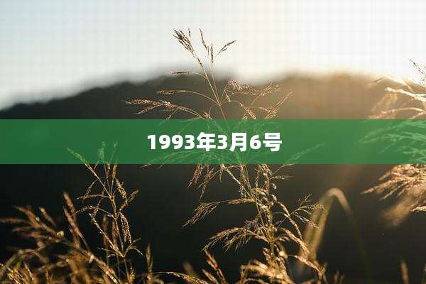 1993年3月6号