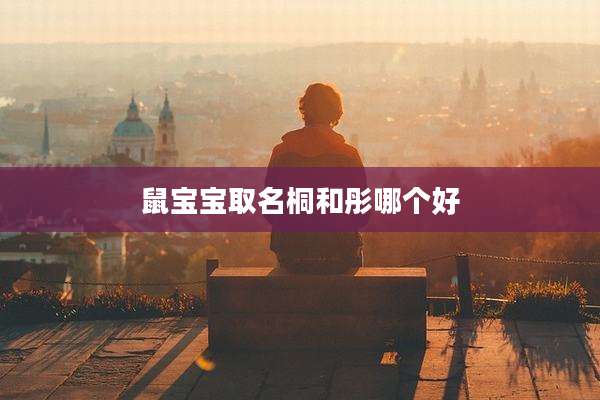 鼠宝宝取名桐和彤哪个好
