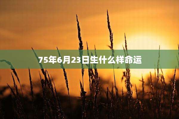 75年6月23日生什么样命运