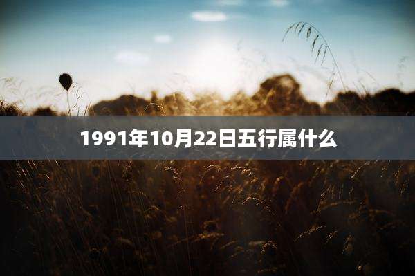 1991年10月22日五行属什么