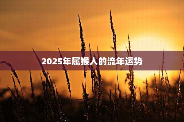 2025年属猴人的流年运势