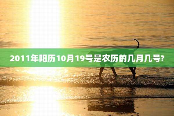 2011年阳历10月19号是农历的几月几号?