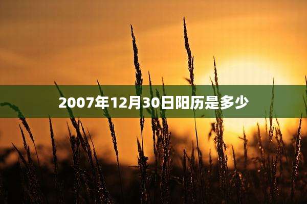 2007年12月30日阳历是多少