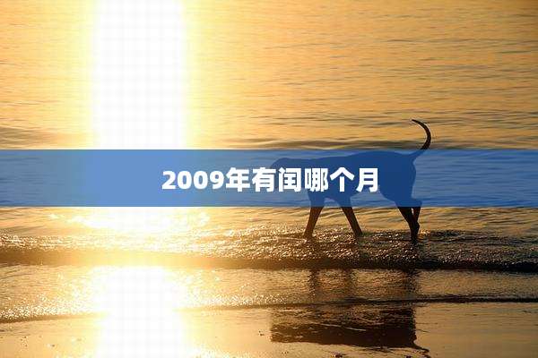 2009年有闰哪个月