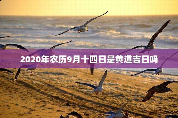 2020年农历9月十四日是黄道吉日吗