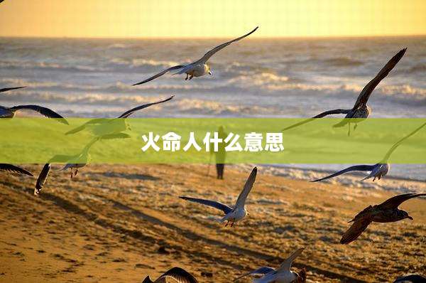 火命人什么意思