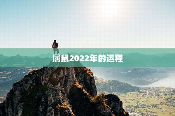 属鼠2022年的运程