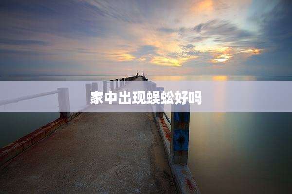 家中出现蜈蚣好吗