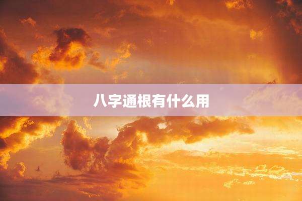 八字通根有什么用
