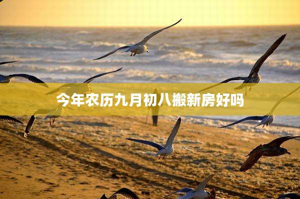 今年农历九月初八搬新房好吗