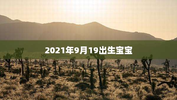 2021年9月19出生宝宝