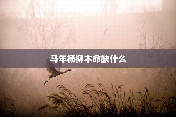 马年杨柳木命缺什么