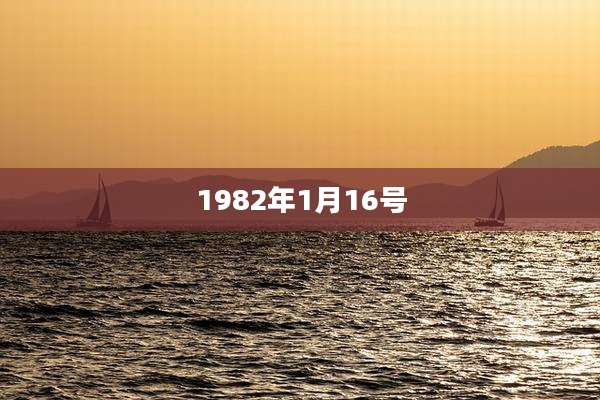 1982年1月16号