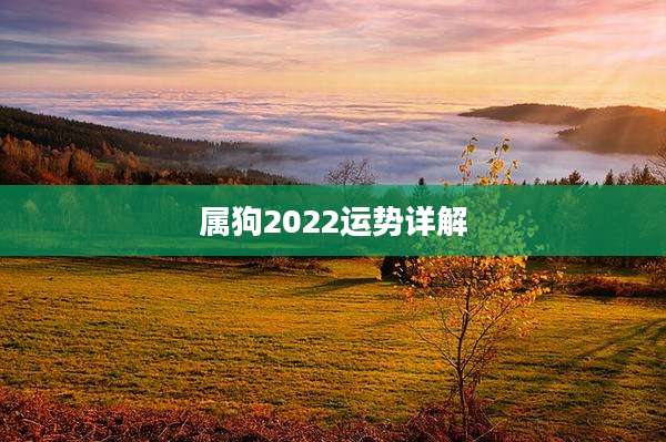 属狗2022运势详解