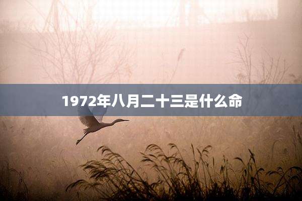 1972年八月二十三是什么命