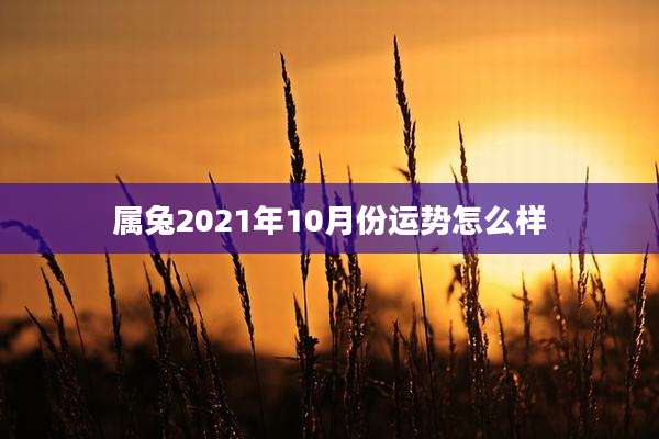 属兔2021年10月份运势怎么样