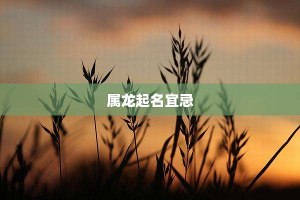 属龙起名宜忌