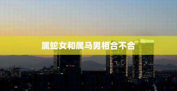 属蛇女和属马男相合不合