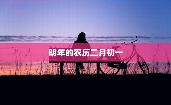 明年的农历二月初一