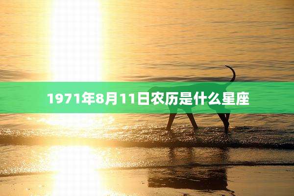 1971年8月11日农历是什么星座