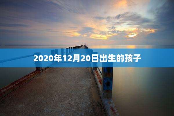 2020年12月20日出生的孩子