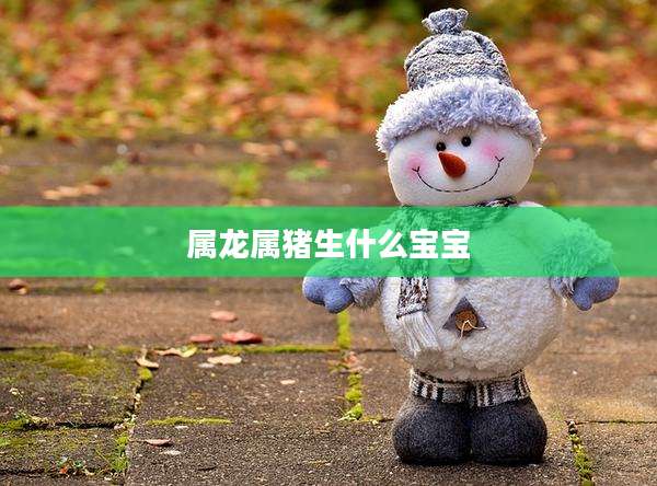 属龙属猪生什么宝宝