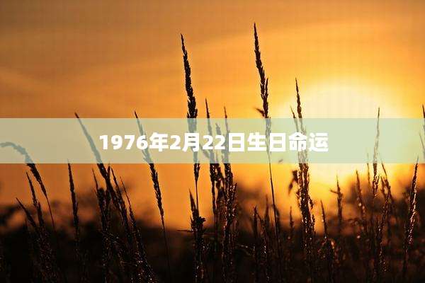1976年2月22日生日命运