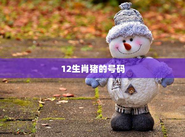 12生肖猪的号码