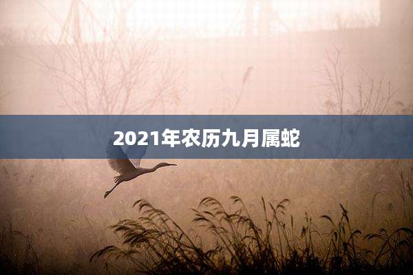 2021年农历九月属蛇