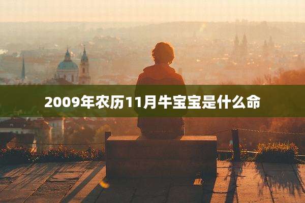 2009年农历11月牛宝宝是什么命