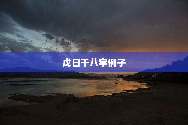 戊日干八字例子