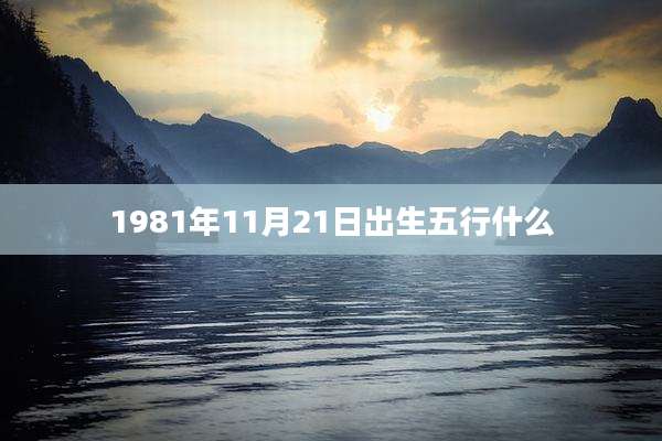 1981年11月21日出生五行什么