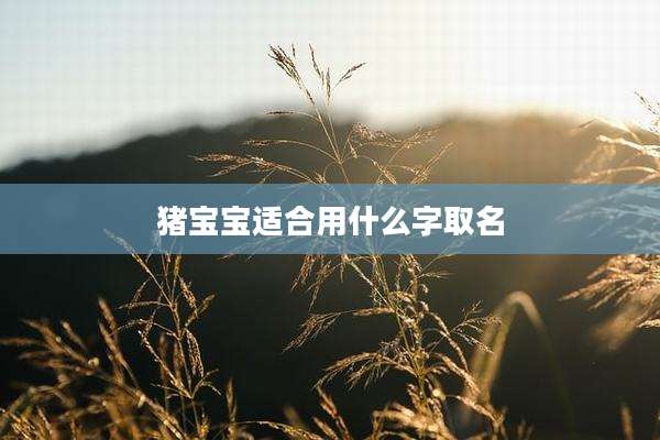 猪宝宝适合用什么字取名