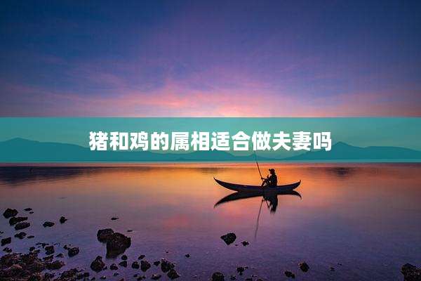 猪和鸡的属相适合做夫妻吗