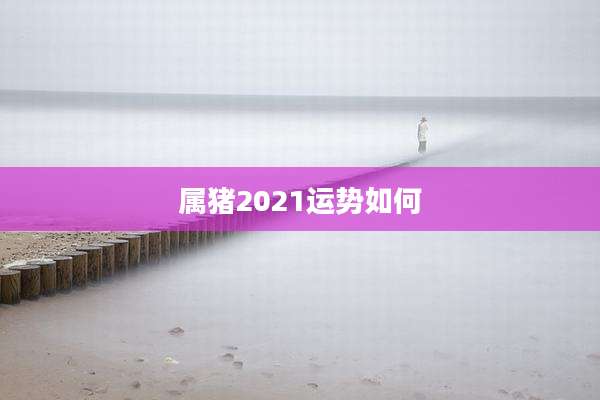 属猪2021运势如何