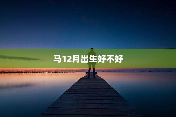马12月出生好不好