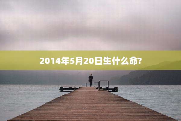2014年5月20日生什么命?