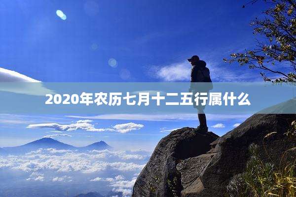 2020年农历七月十二五行属什么