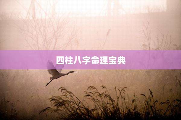 四柱八字命理宝典