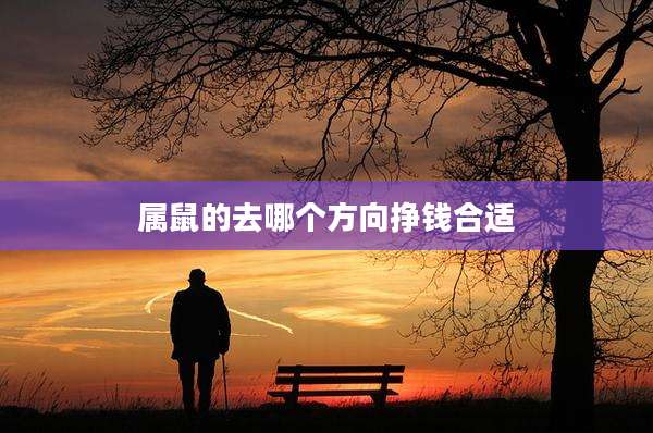 属鼠的去哪个方向挣钱合适