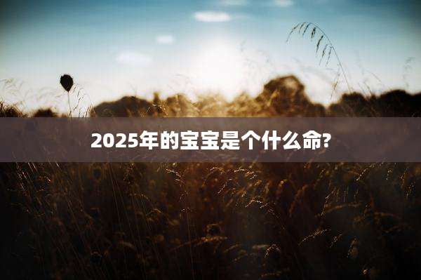 2025年的宝宝是个什么命?