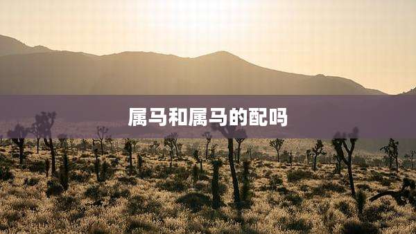 属马和属马的配吗