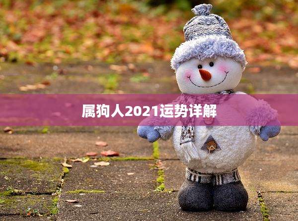 属狗人2021运势详解