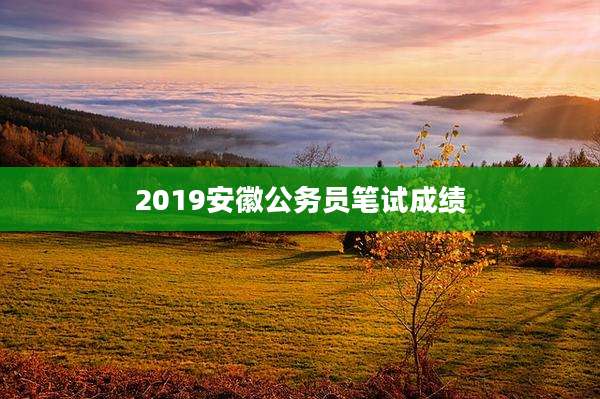 2019安徽公务员笔试成绩
